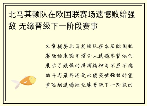 北马其顿队在欧国联赛场遗憾败给强敌 无缘晋级下一阶段赛事
