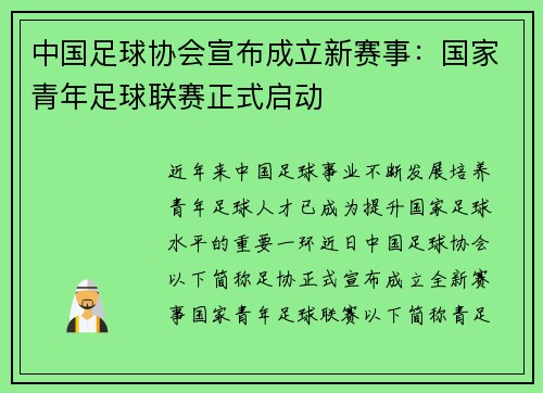 中国足球协会宣布成立新赛事:国家青年足球联赛正式启动