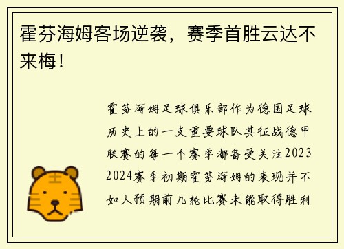 霍芬海姆客场逆袭,赛季首胜云达不来梅!