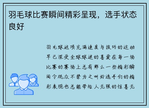 羽毛球比赛瞬间精彩呈现,选手状态良好
