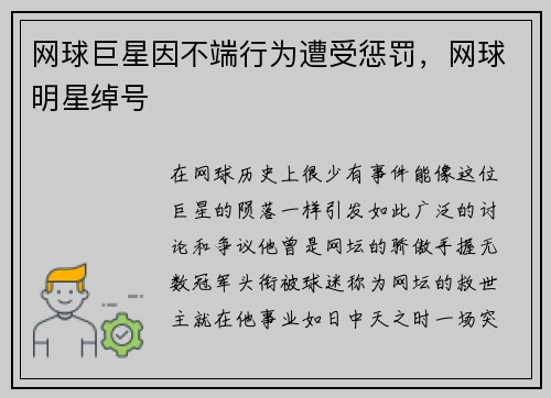 网球巨星因不端行为遭受惩罚,网球明星绰号